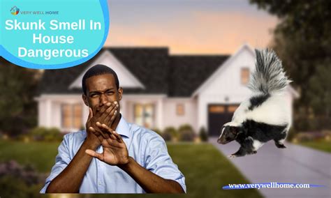 Skunk smell in house dangerous. Things To Know About Skunk smell in house dangerous. 